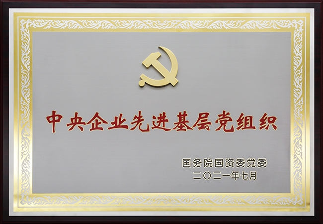 國珍松花粉-新時代健康產業（集團）有限公司成立于1995年3月，是中國新時代控股（集團）公司的控股子公司，總部設在北京，注冊資本1億元人民幣。公司是直銷行業內首批獲得直銷牌照的內資企業之一，也是行業內唯一一家央屬企業。